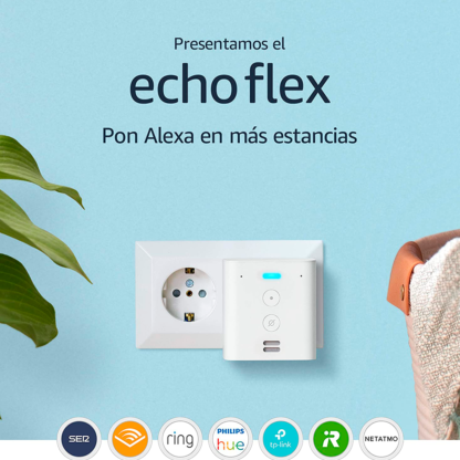 Alexa Echo Flex